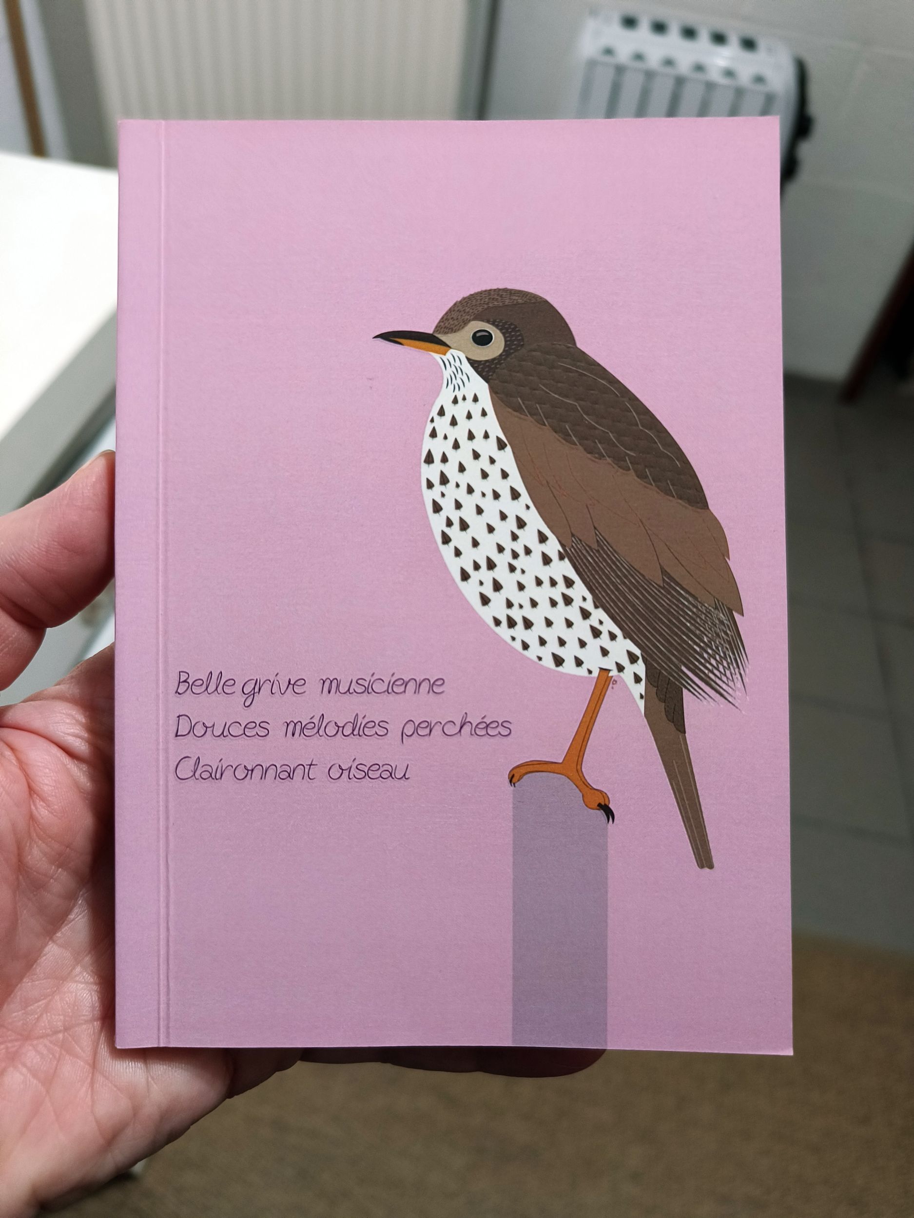 Défi Haïku : Écrire un poème chaque&nbsp;jour