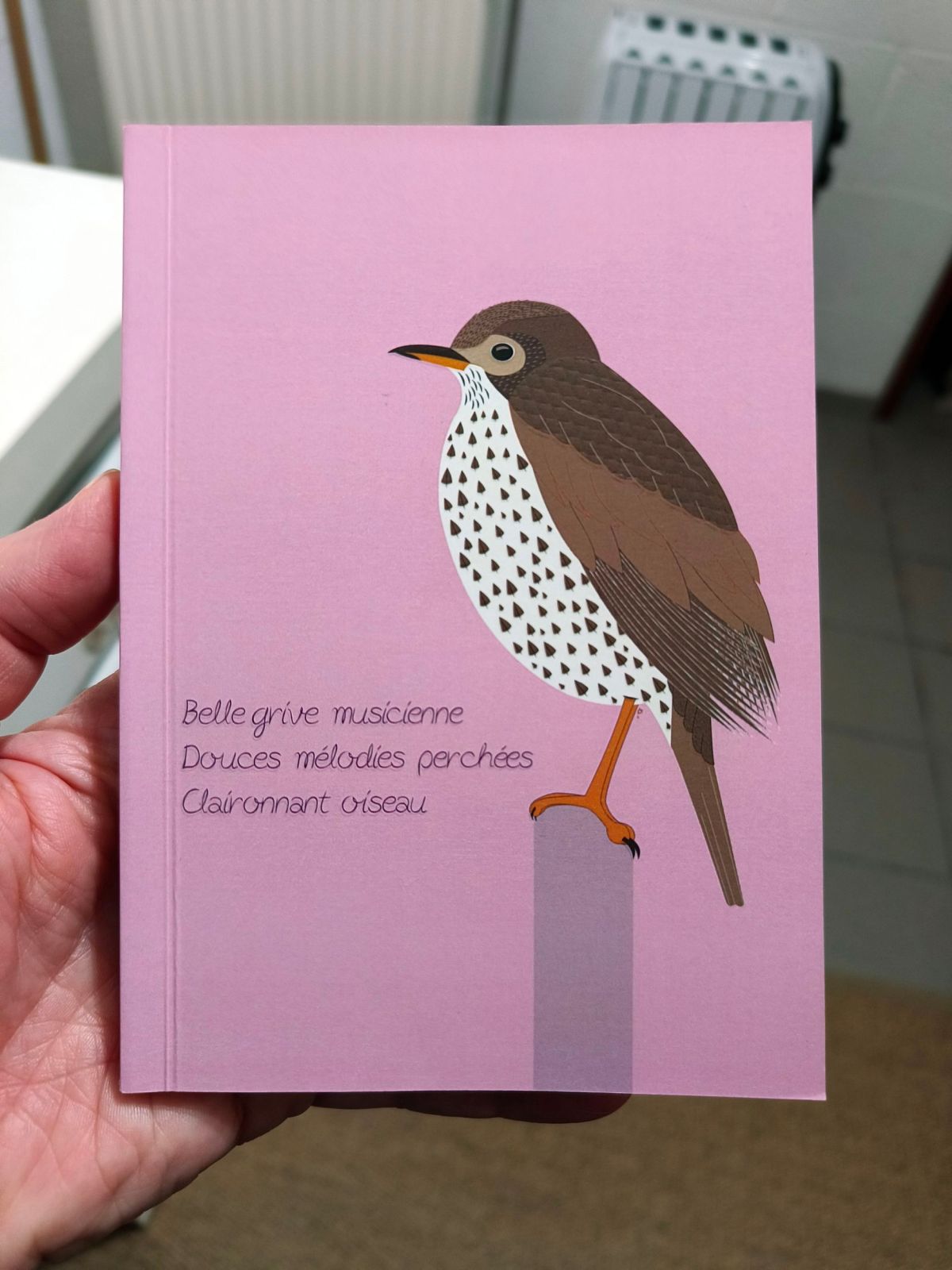 Défi Haïku : Écrire un poème chaque&nbsp;jour