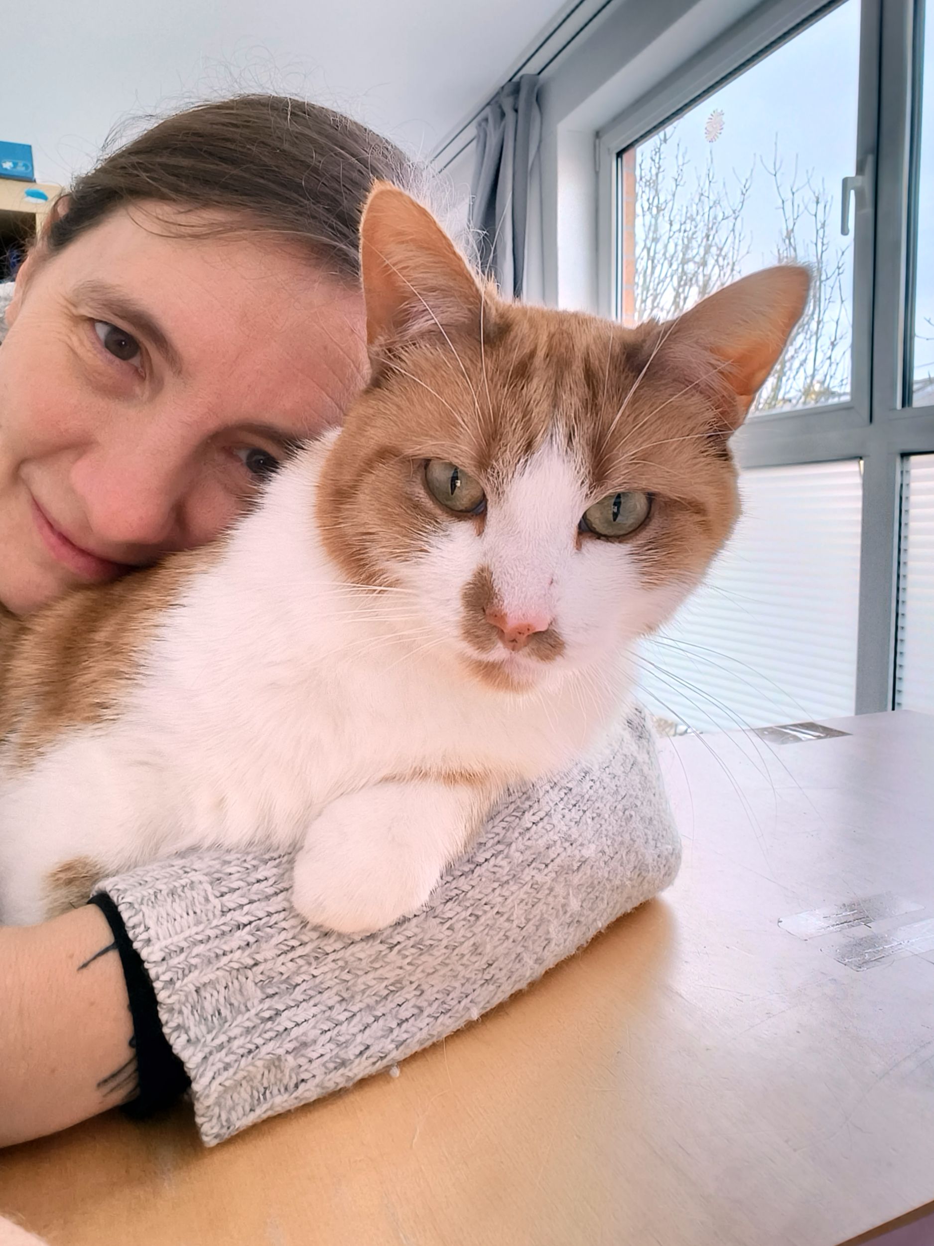 Conflit de territoire