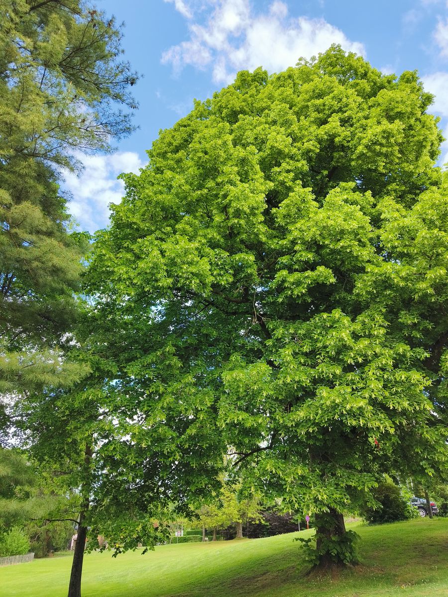 Vivre en harmonie dans le silence, et en mouvements