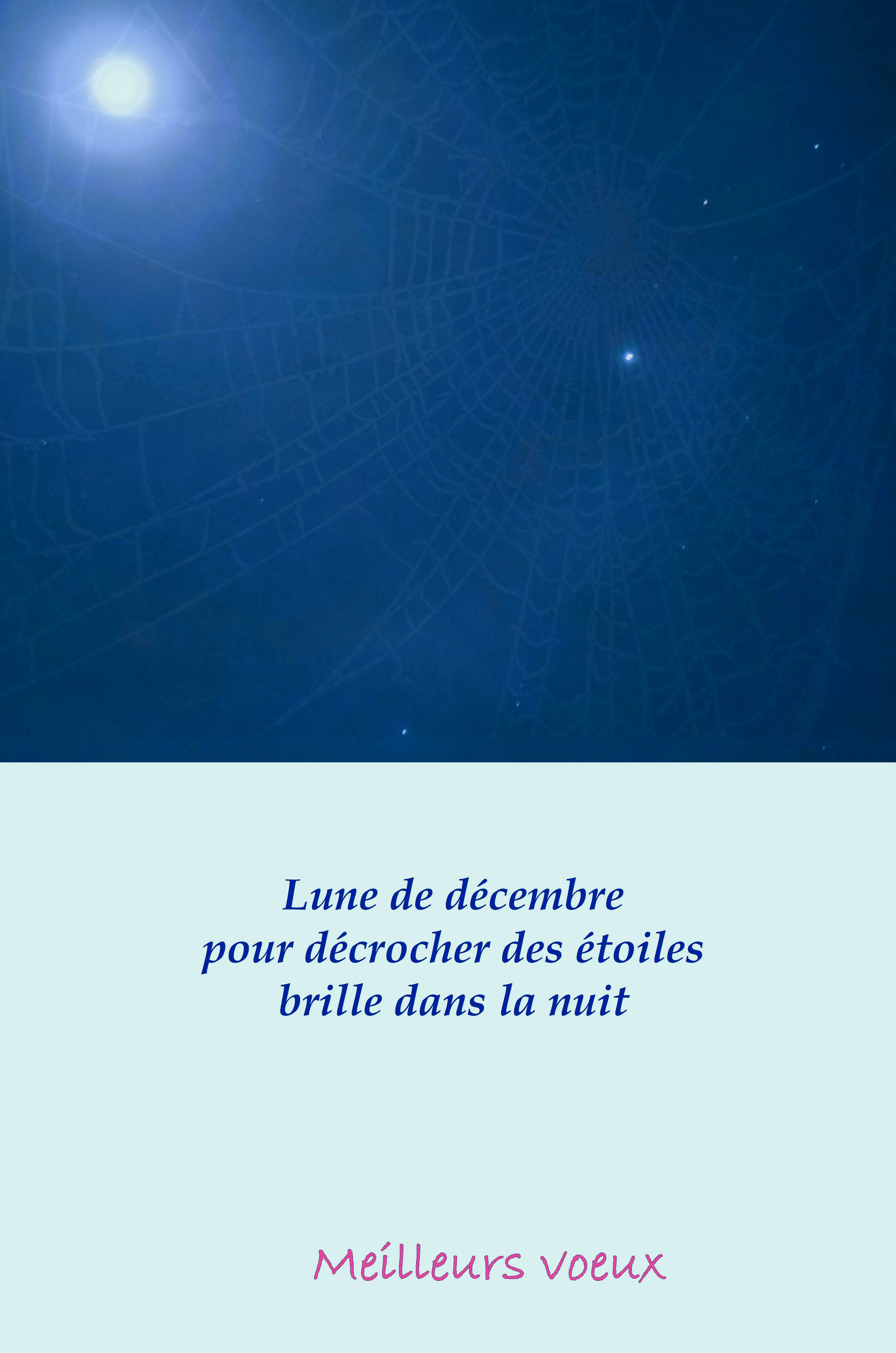 Sous les étoiles, des&nbsp;vœux