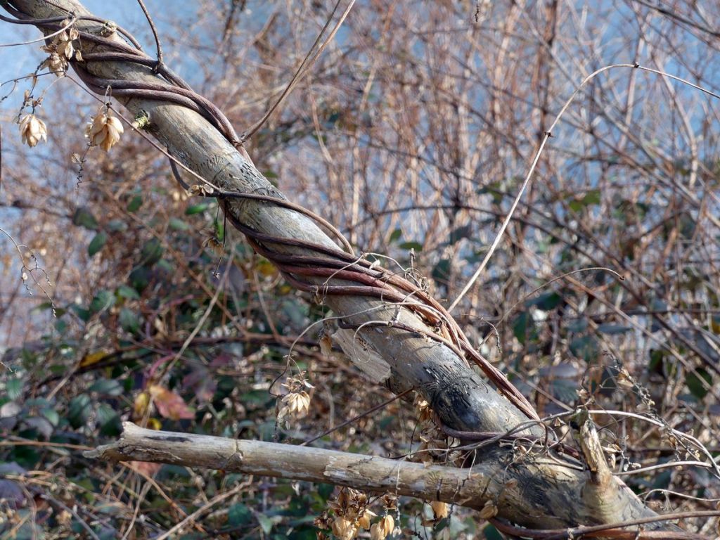 Moments magiques dans la nature : observations et&nbsp;apprentissages