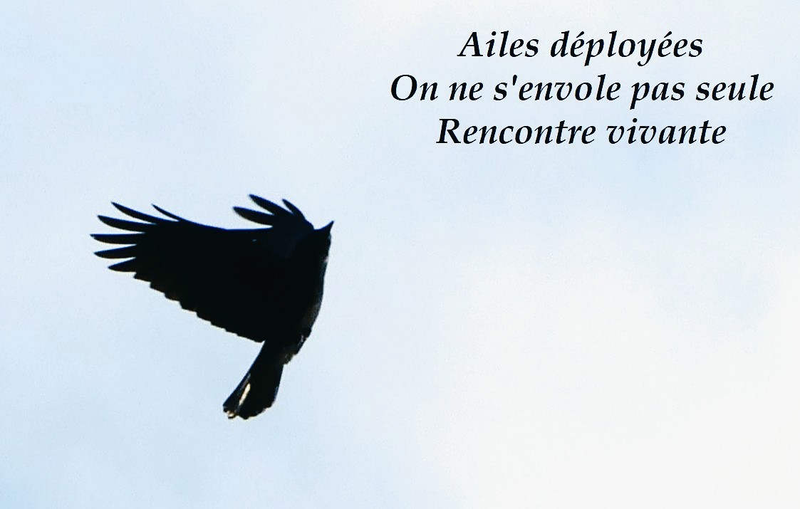 Recrutement humain : l’histoire de Bernadette