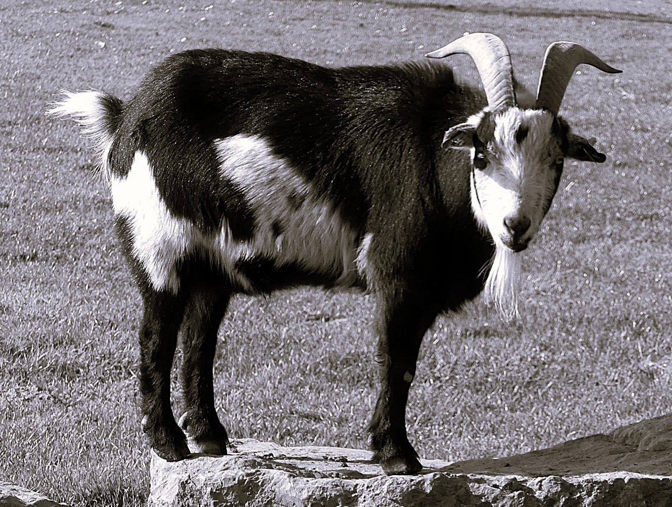 Réveiller l’inspiration: le chemin de la Montagne