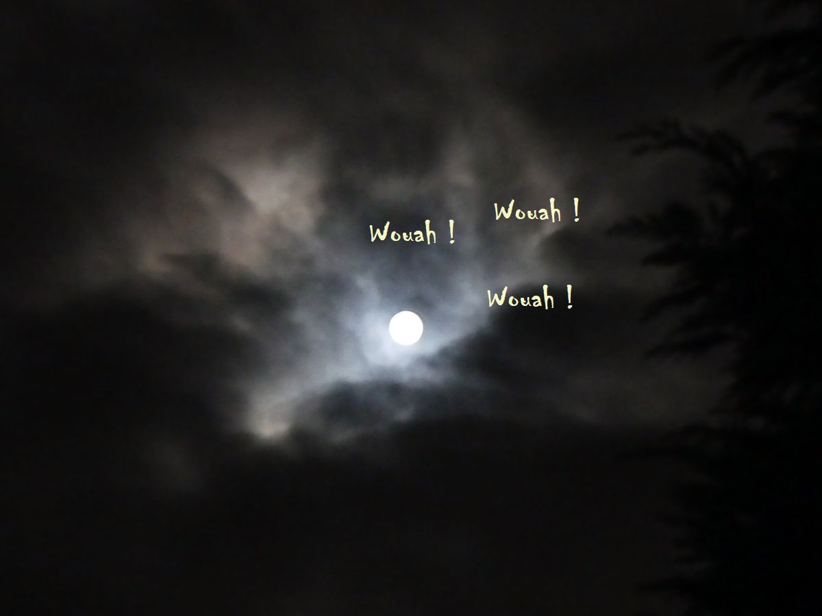 Petit jeu d’écriture du jour : le chien qui aboyait dans la nuit