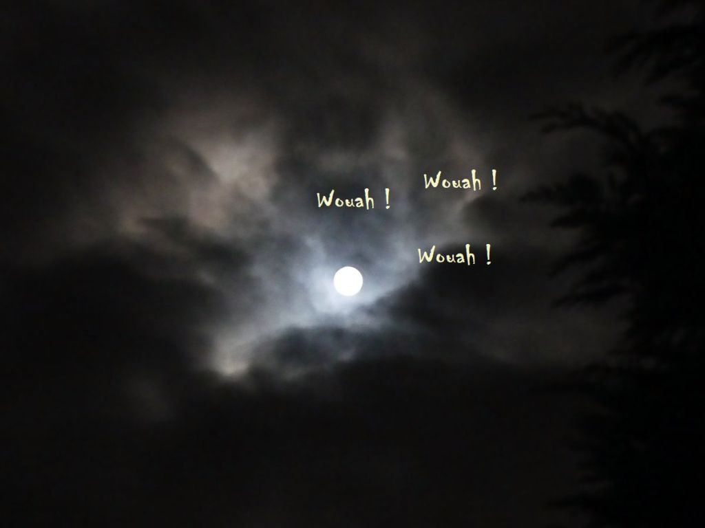 Petit jeu d’écriture du jour : le chien qui aboyait dans la&nbsp;nuit