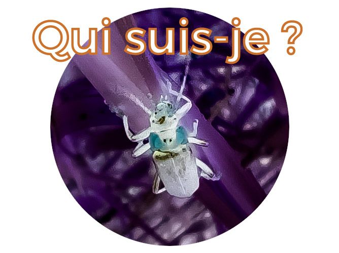 Devine qui je suis. Réunion de famille dans le&nbsp;jardin.